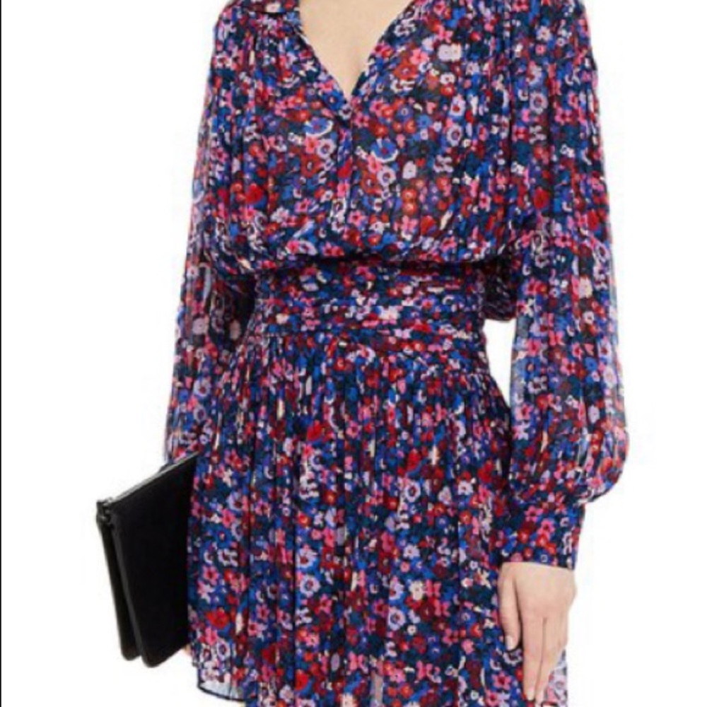 Derek Lam 10 Crosby Woman Pleated Floral-Print Georgette Mini Dress size 6